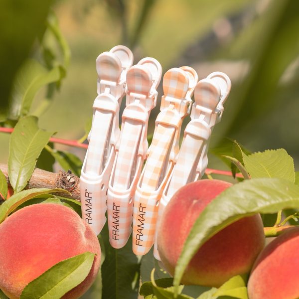 Čtyři skřipce Peach Please mezi broskvemi na stromě