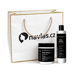 Absoluk Repair