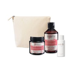 Ohanic Repair