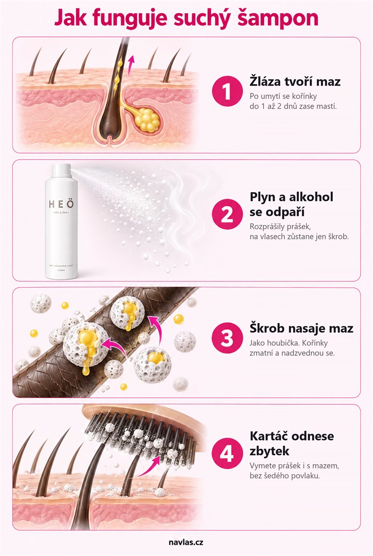 Infografika: jak funguje suchý šampon ve čtyřech krocích. Mazová žláza po umytí tvoří maz, plyn a alkohol se odpaří, škrob nasaje maz a kartáč ho vymete.